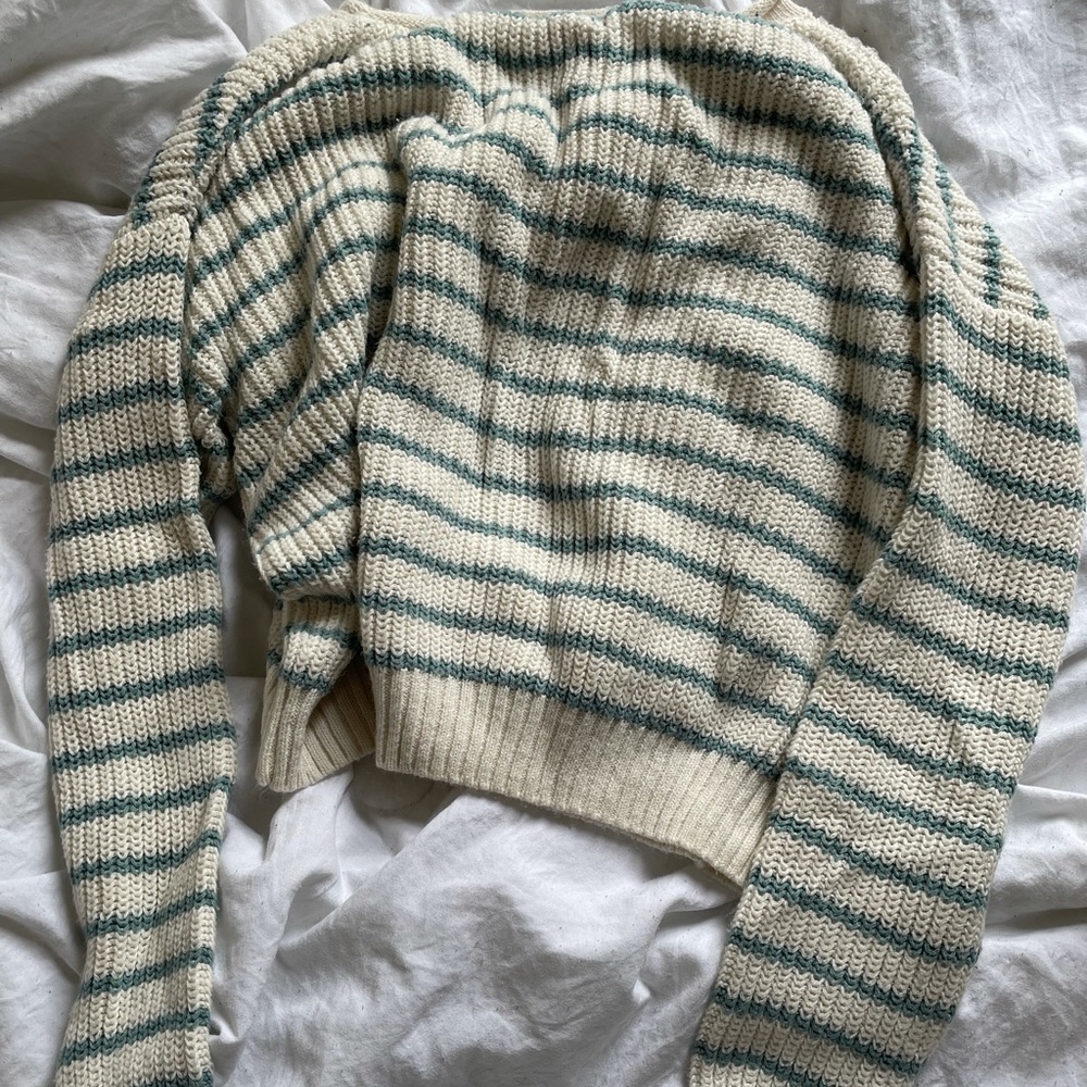 Wild fable cropped sweater